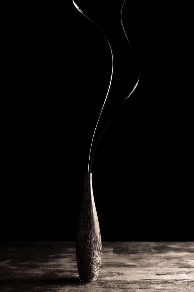 Elegant Vase Curves by Dusan Ljubicic — canvas wall art
