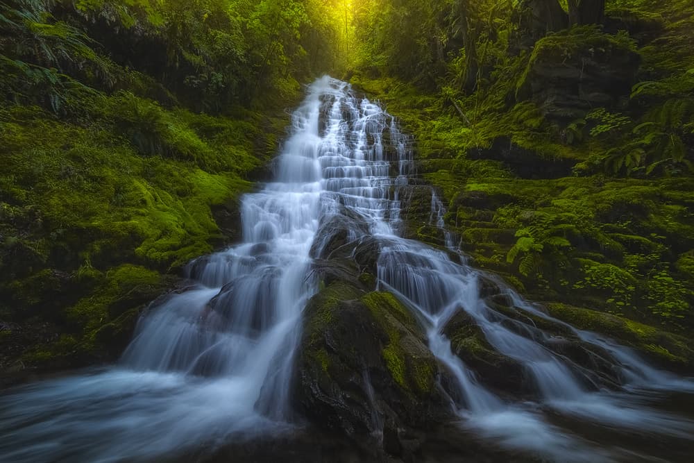 Radiant Forest Waterfall by Ryan Dyar — canvas wall art