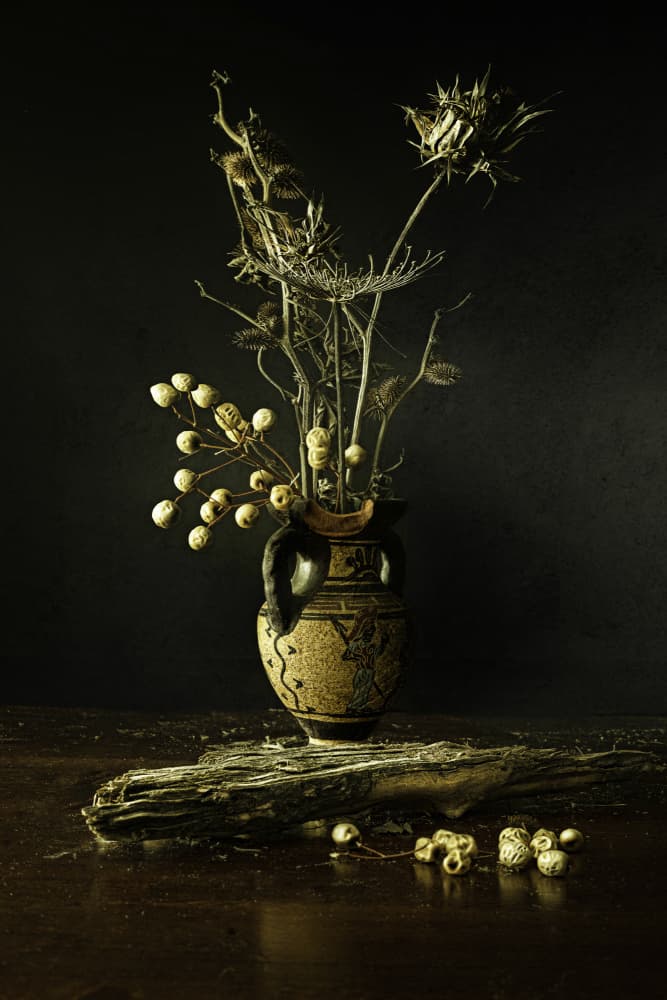 Earthy Botanical Still Life by Noam Mymon — canvas wall art