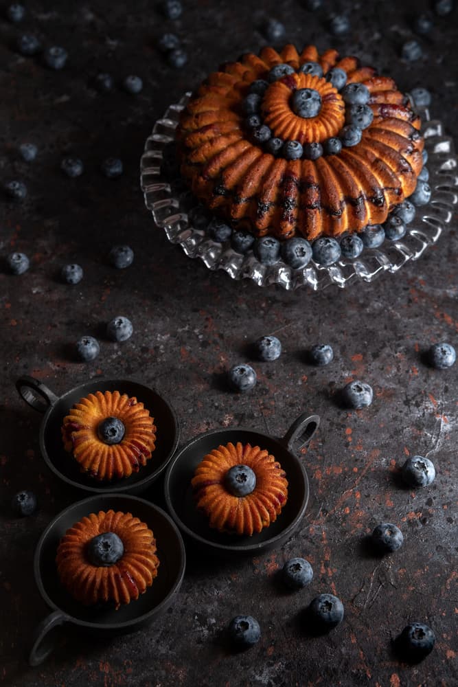 Moody Blueberry Cake by Denisa VLAICU — canvas wall art