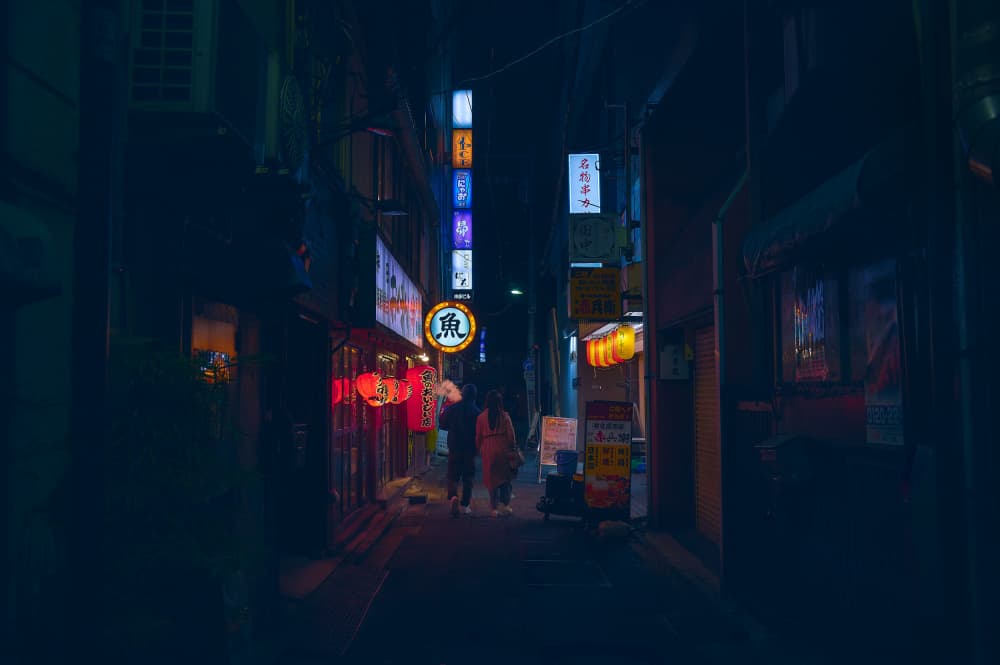 Japanese Night Street by Sergio Cameno — canvas wall art