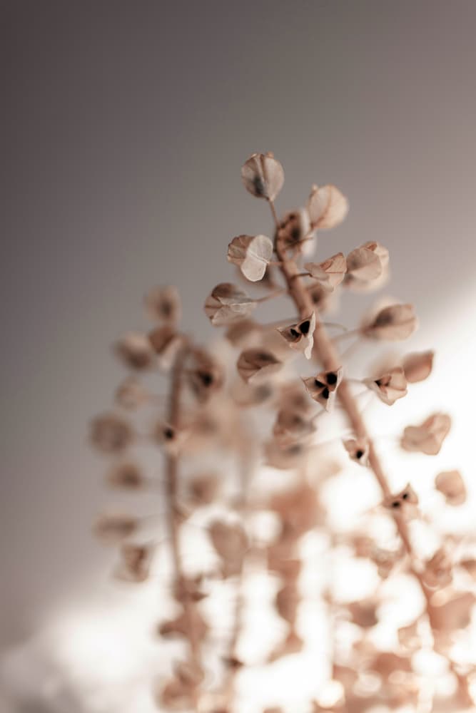 Last Summer 32 by Mareike Böhmer — canvas wall art