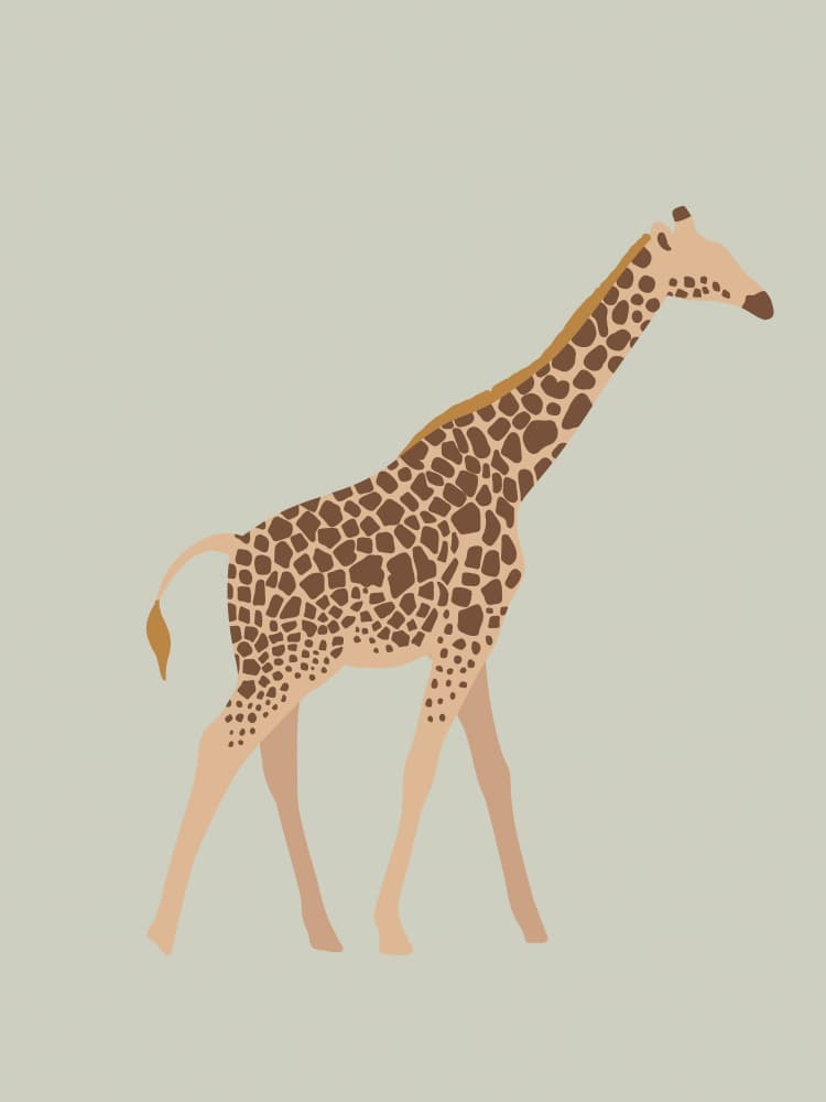 Graceful Giraffe by Treechild — canvas wall art