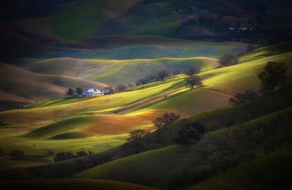 Sunlit Green Hills by Jenny Qiu — canvas wall art
