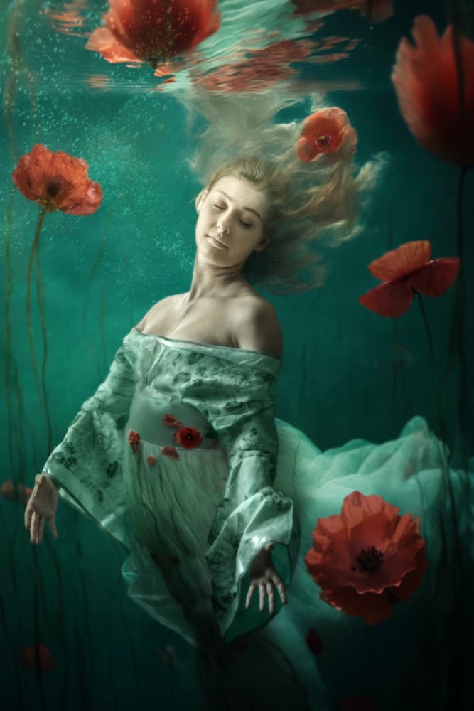 Floating Poppy Dream by Marcel Egger — canvas wall art