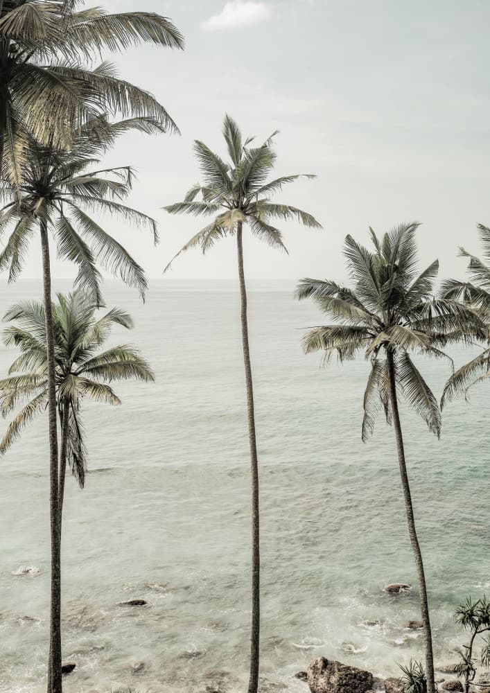 Tropical Dreams by Shot by Clint — canvas wall art