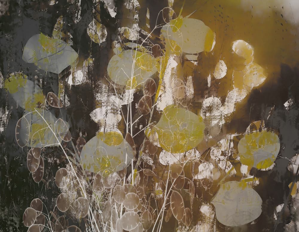 Honesty impression by Nel Talen — canvas wall art