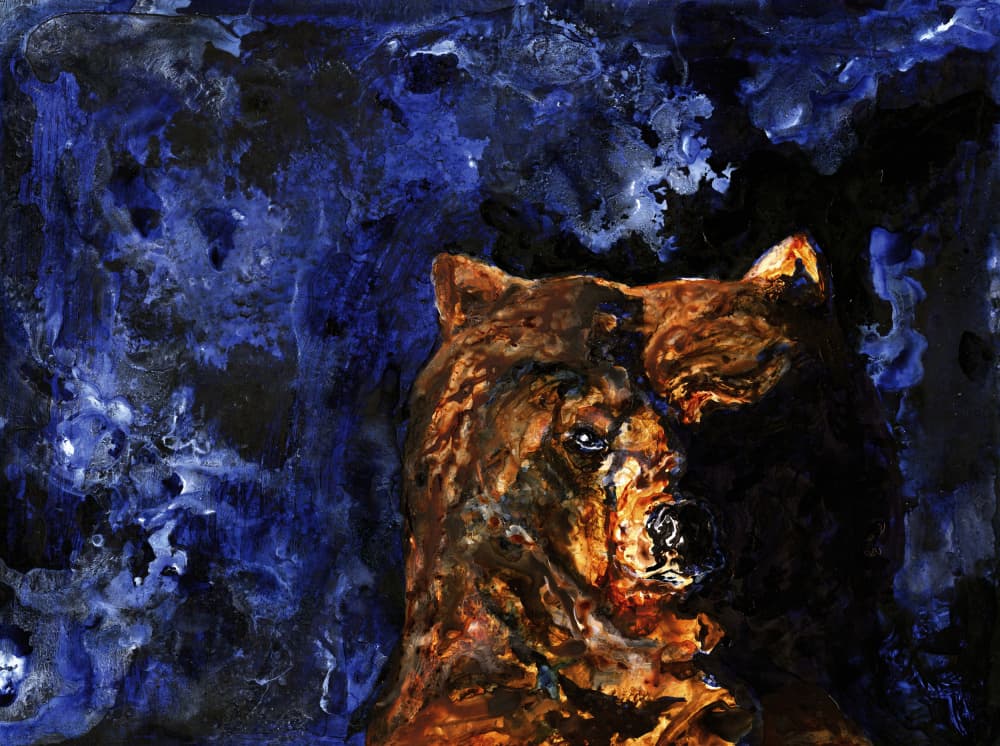Powerful Grizzly Gaze by RodMacIver — canvas wall art