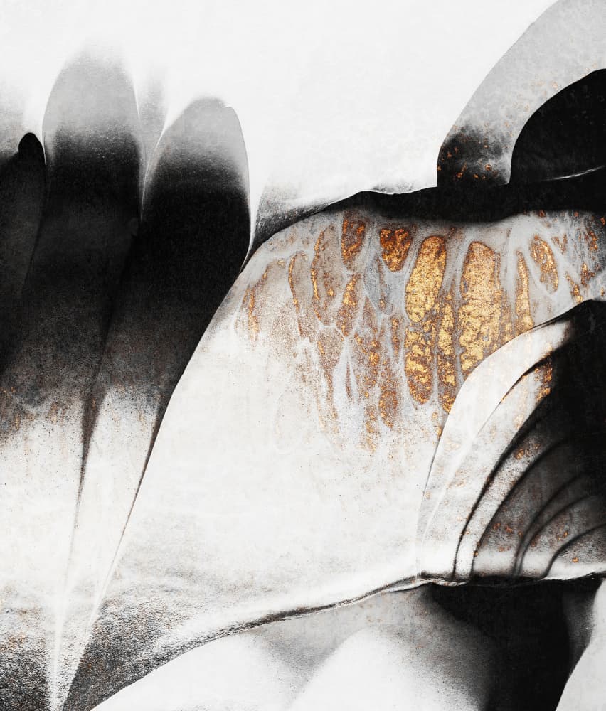 Fluid Gold Contrast by Elisabeth Fredriksson — canvas wall art