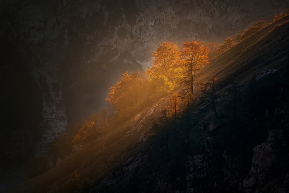 Golden Autumn Light by Ales Krivec — canvas wall art