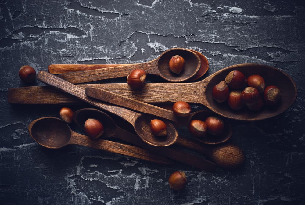 Dark Hazelnuts Rustic Spoons by Karina Aleksandrova — canvas wall art