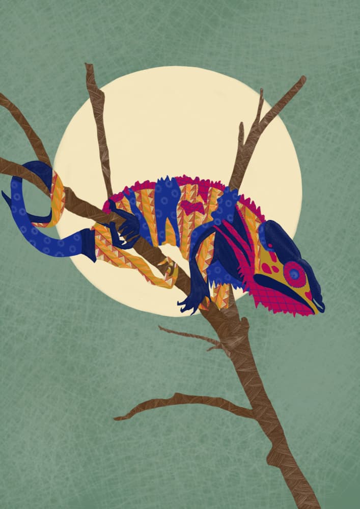 Colorful Chameleon Moon by Art by the Ocean — canvas wall art