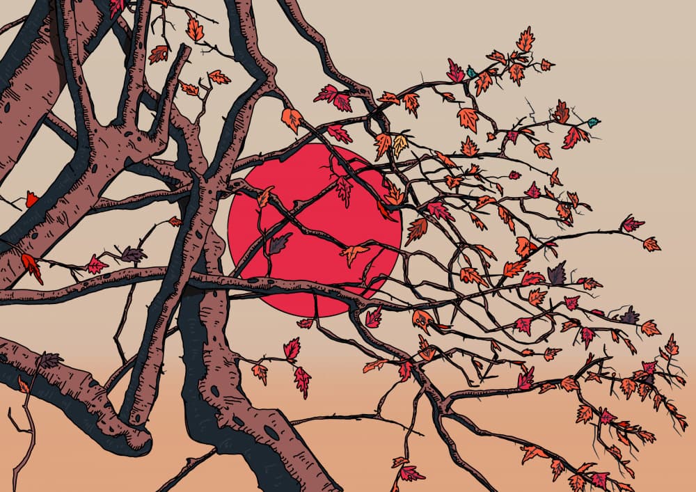 Red Sun Autumn Branches by Nicholas — canvas wall art