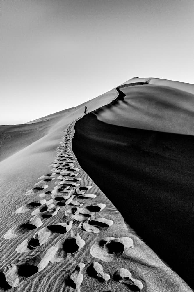 Solitary Dune Journey by Mohammad Fotouhi — canvas wall art