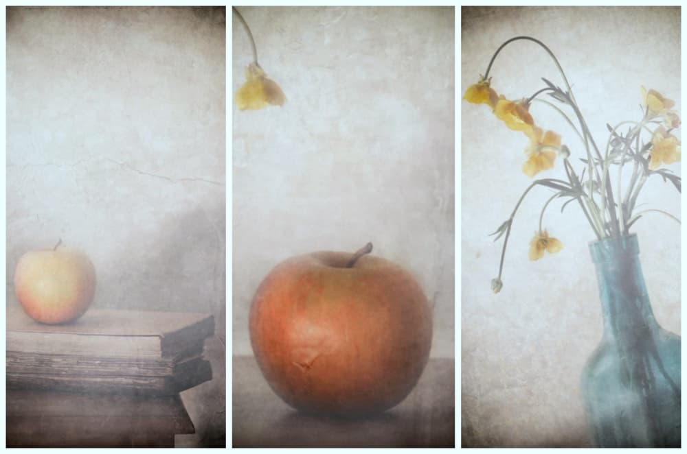 Muted Apples and Flowers by Delphine Devos — canvas wall art