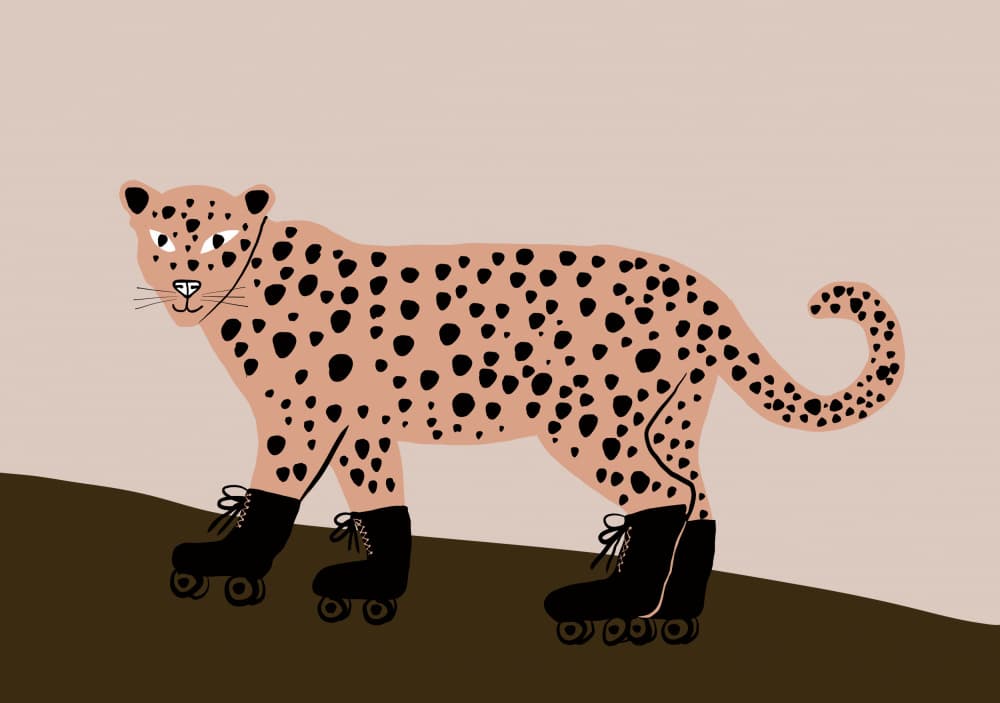 Skating Leopard