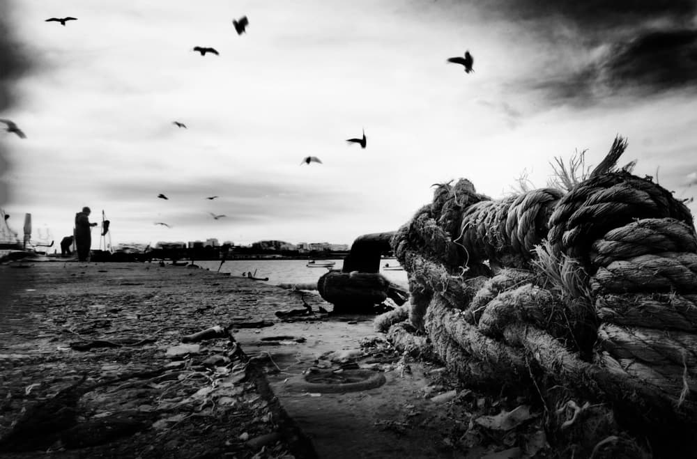 Pier Rope and Birds by Agostinho Teixeira — canvas wall art