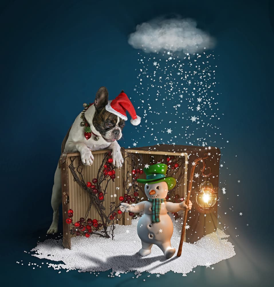 Christmas Dog and Snowman by DDiArte — canvas wall art