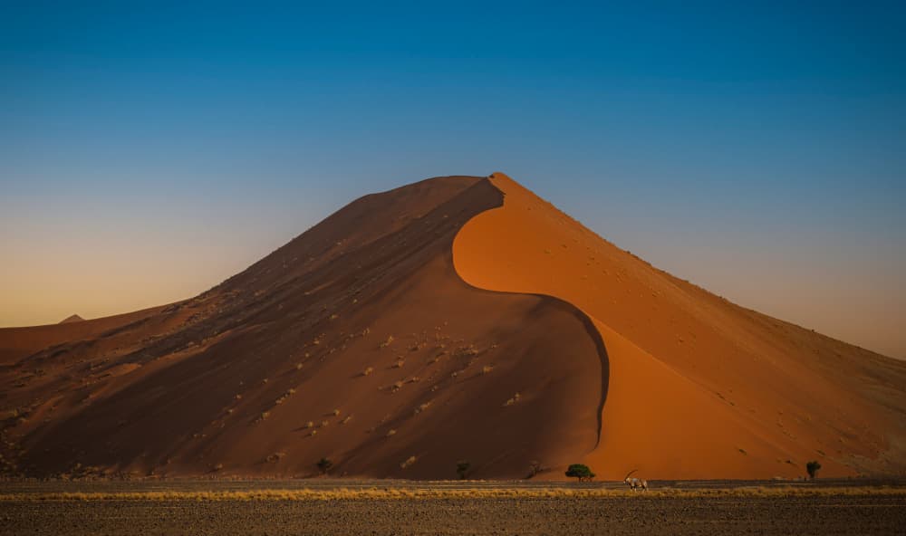 Curving Desert Dune by Isam Telhami — canvas wall art
