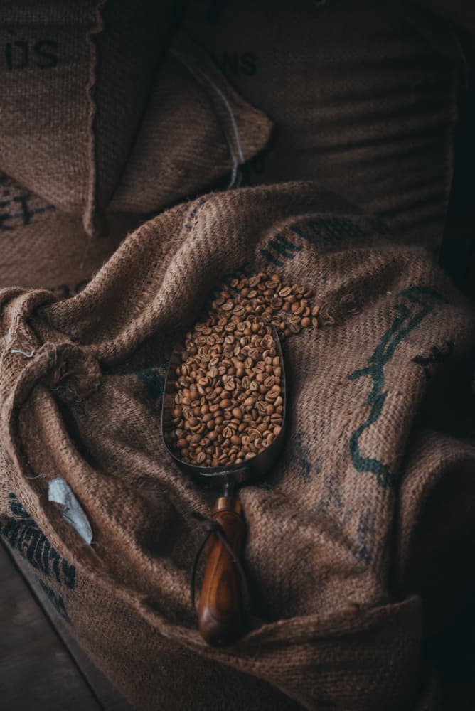 Rustic Coffee Beans by Ardalan Hamedani — canvas wall art