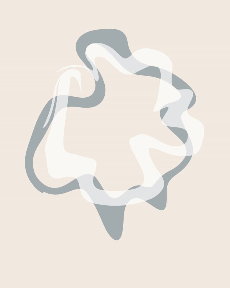 Fluid Organic Shapes by Sannel Larson — canvas wall art