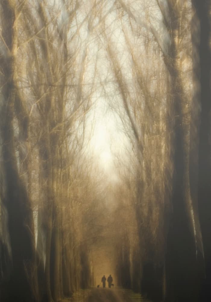 Dreamy Forest Path by Yvette Depaepe — canvas wall art