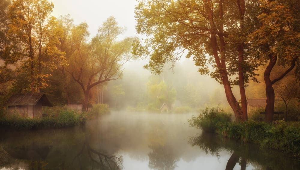 Misty Autumn Morning by Leicher Oliver — canvas wall art