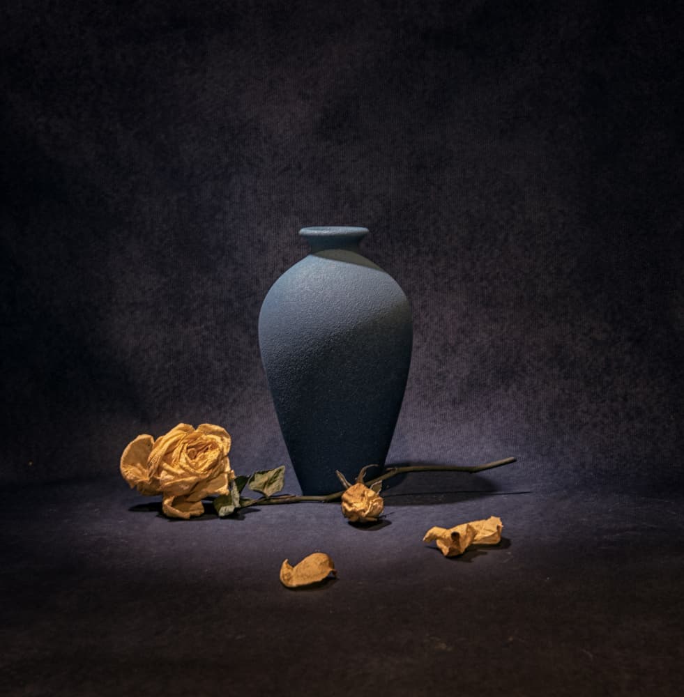 Dark Blue Rose Still Life by Betty Liu — canvas wall art