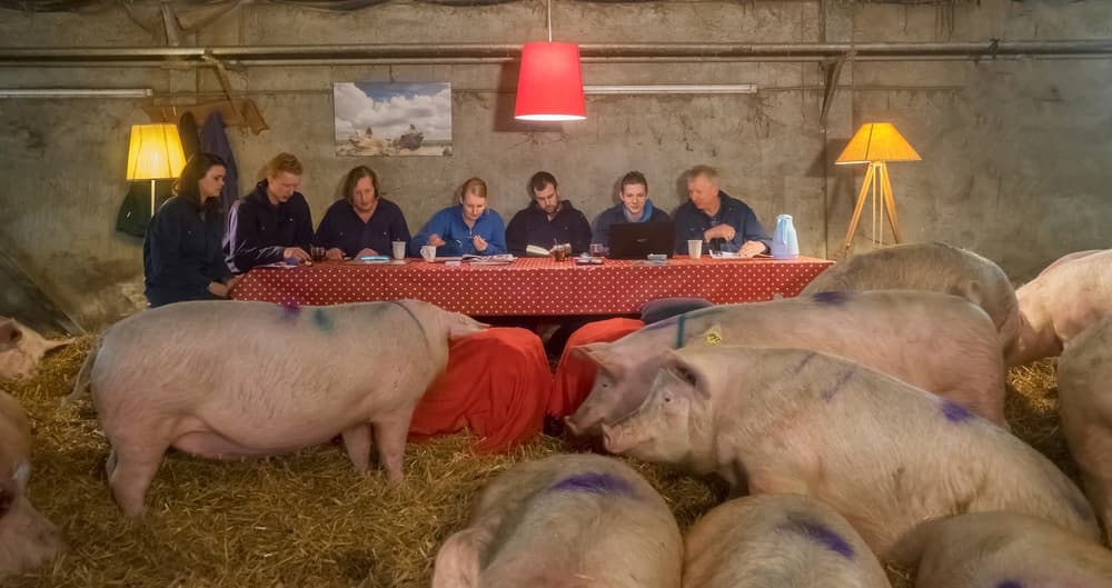 Barn Meeting with Pigs by Gert van den Bosch — canvas wall art
