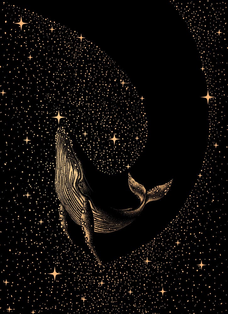 Cosmic Whale Dream by Alirıza ÇAKIR — canvas wall art