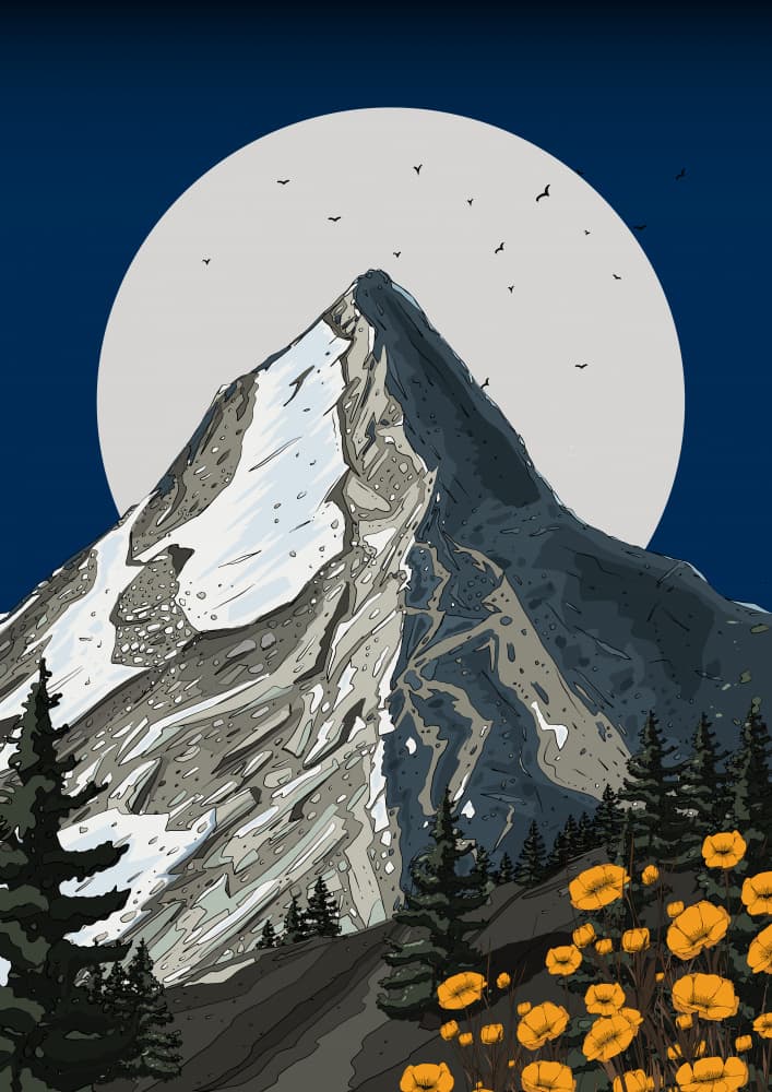 Moonlit Mountain Poppies by Nicholas — canvas wall art