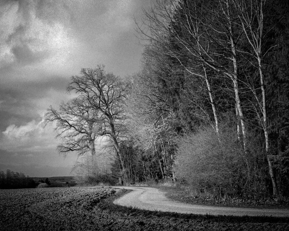 Winding Winter Road by Jan Rauwerdink — canvas wall art