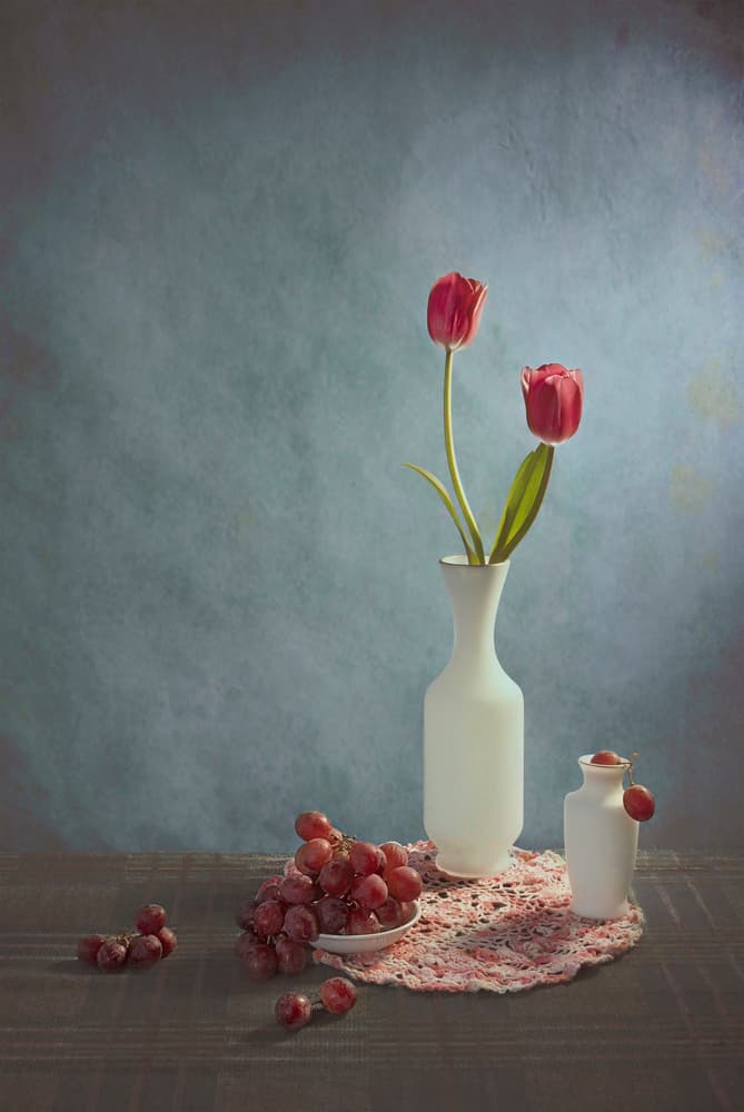 Red Tulips and Grapes by Lydia Jacobs — canvas wall art