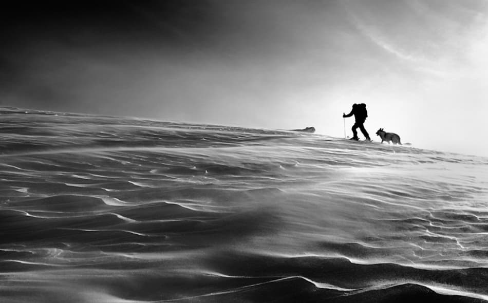 Man Dog Winter Trek by Izidor Gasperlin — canvas wall art