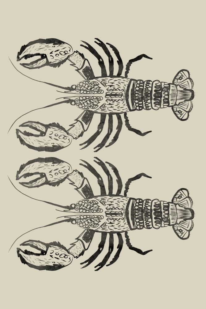 Drawn Lobster Pair by casa cartissi — canvas wall art