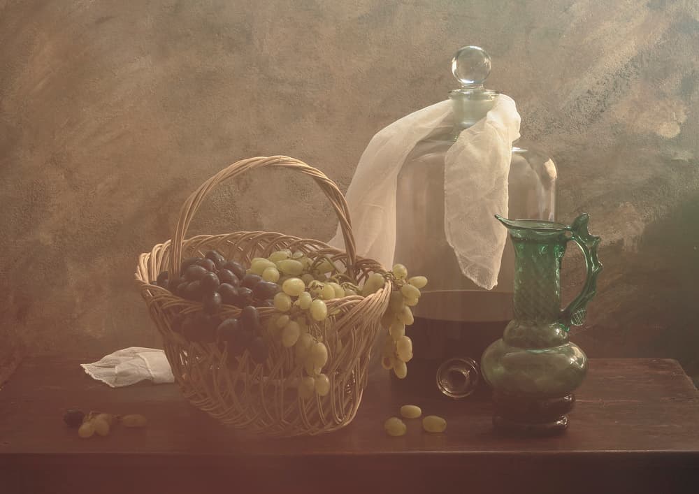 Vintage Grapes Still Life by UstinaGreen — canvas wall art