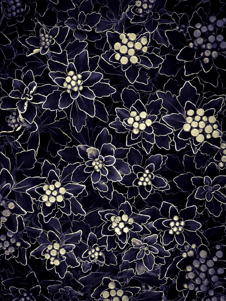 Dark Indigo Blooms by Eric Zhang — canvas wall art