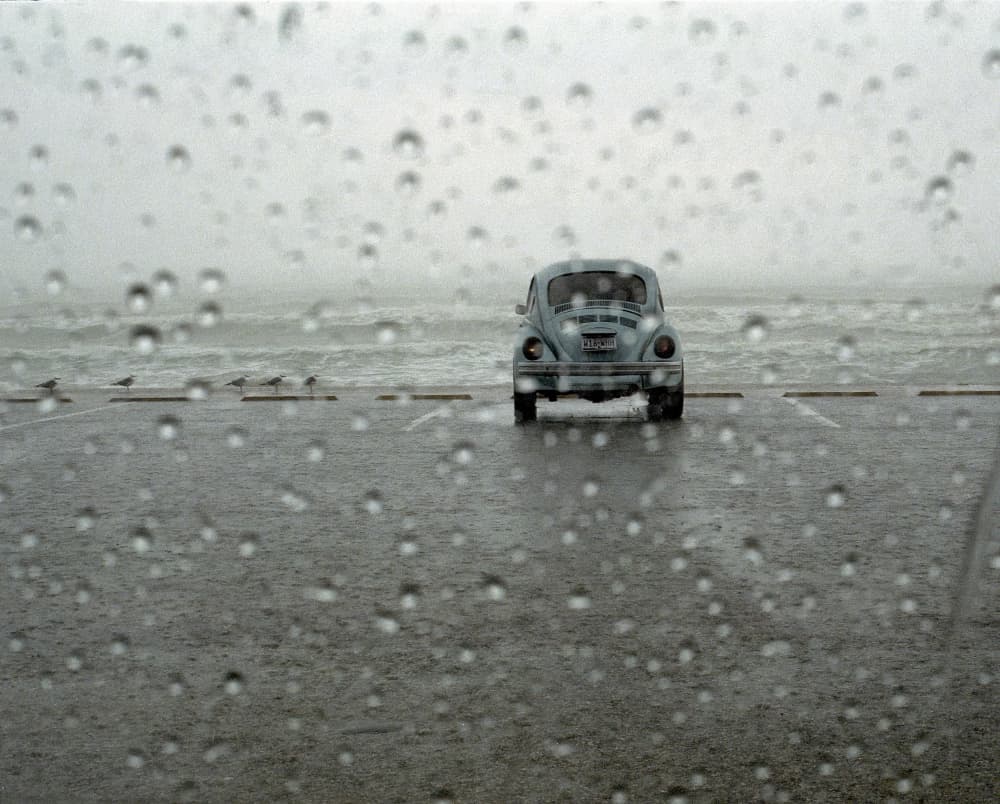 Stormy Seaside Beetle by Michael Burlak — canvas wall art