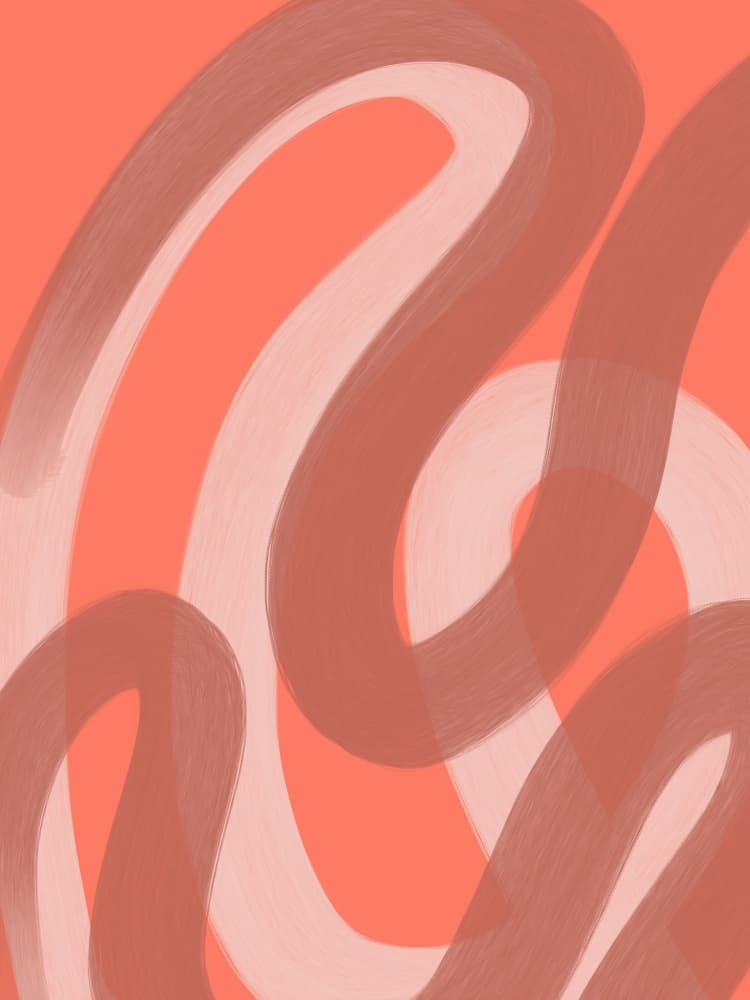 Abstract Coral Flow by Studio Palette — canvas wall art