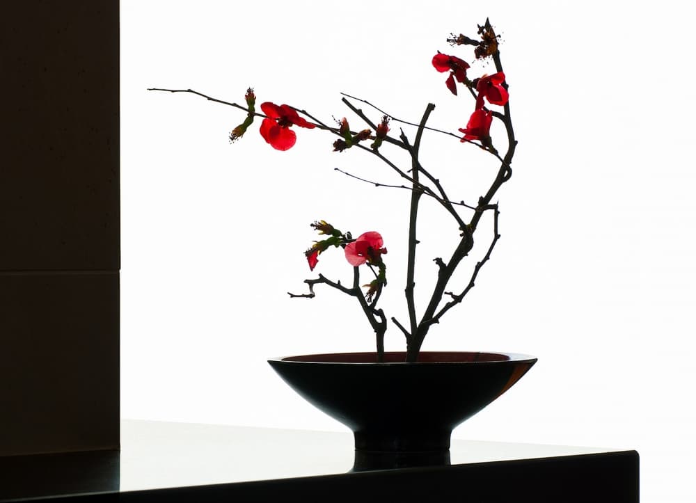 Elegant Ikebana Arrangement by prbimages — canvas wall art