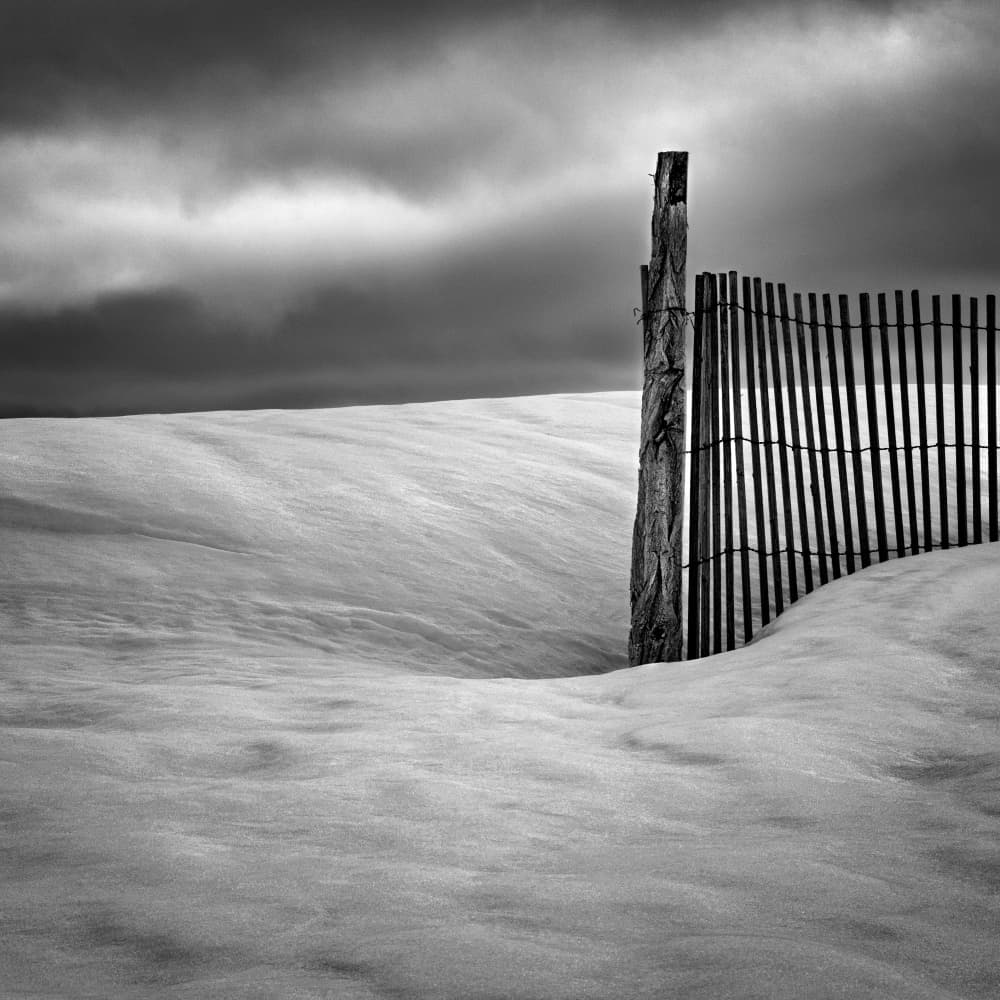 Stark Winter Fence by Elisabeth van Helden — canvas wall art