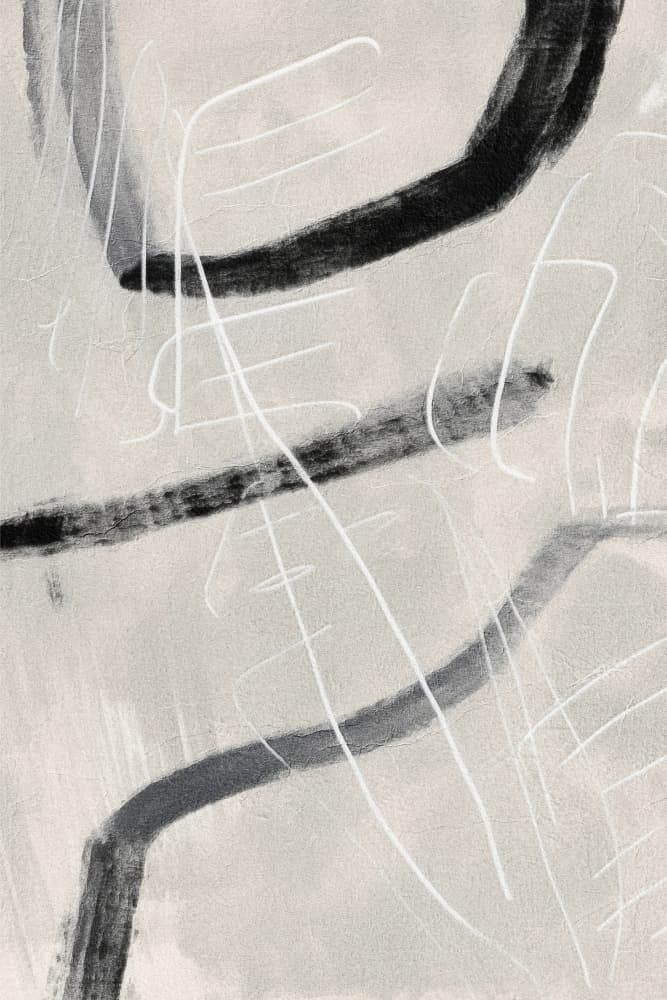 Dynamic Abstract Curves by Alma — canvas wall art