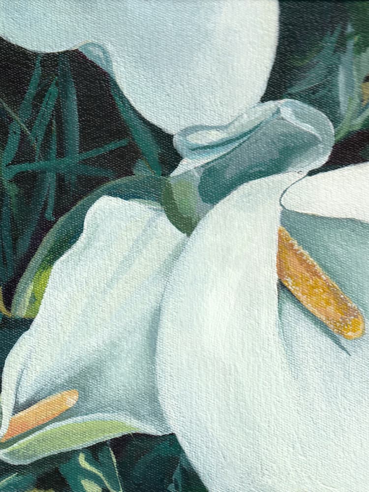 Elegant Calla Lilies by Viccy Wanliss — canvas wall art