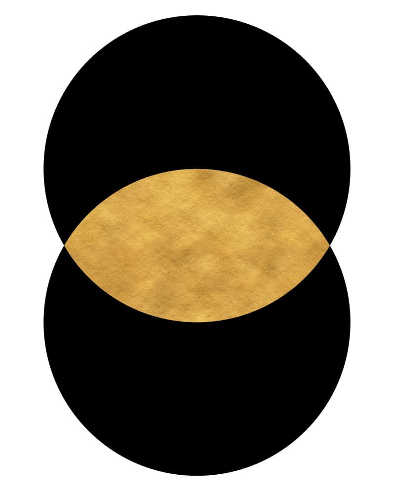 Black Gold Overlap by Emiliano Deificus — canvas wall art