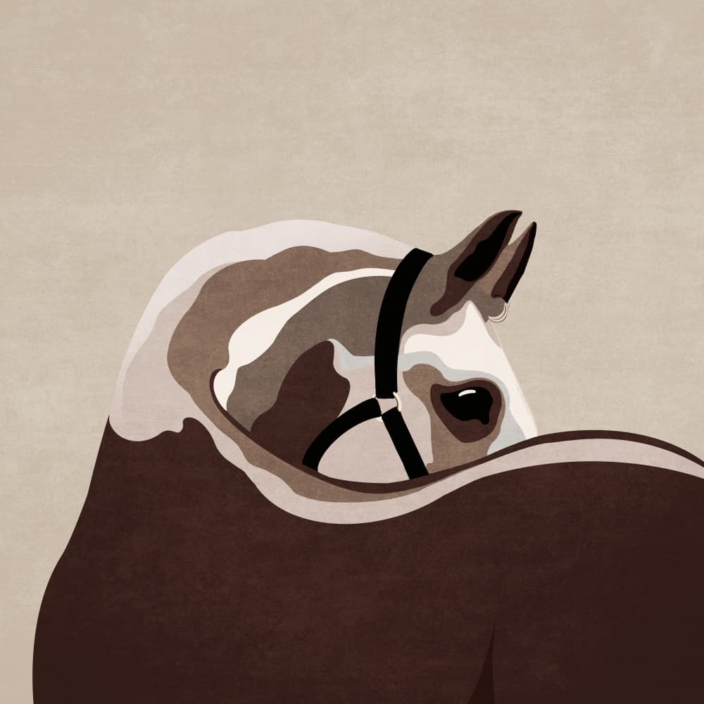 Gentle Equine Curve by Emel Tunaboylu — canvas wall art