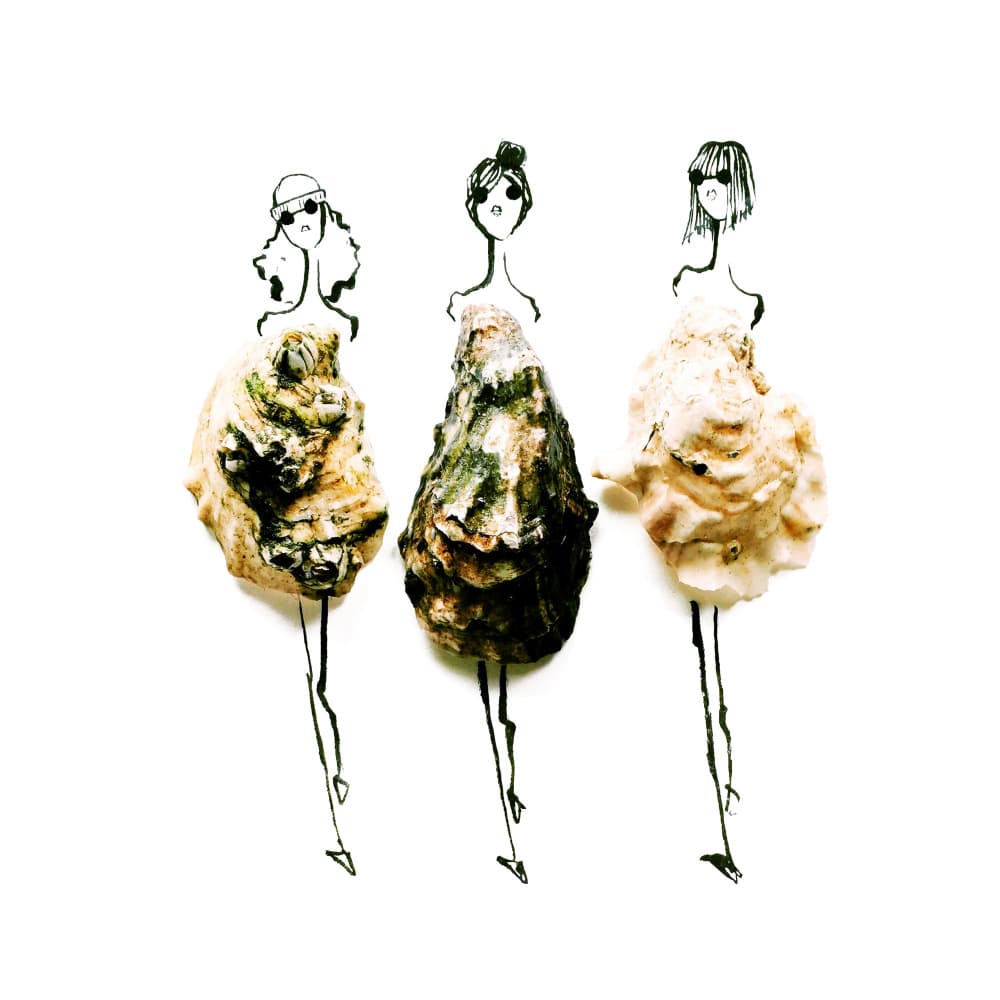 Whimsical Shell Fashion by Gretchen Roehrs — canvas wall art