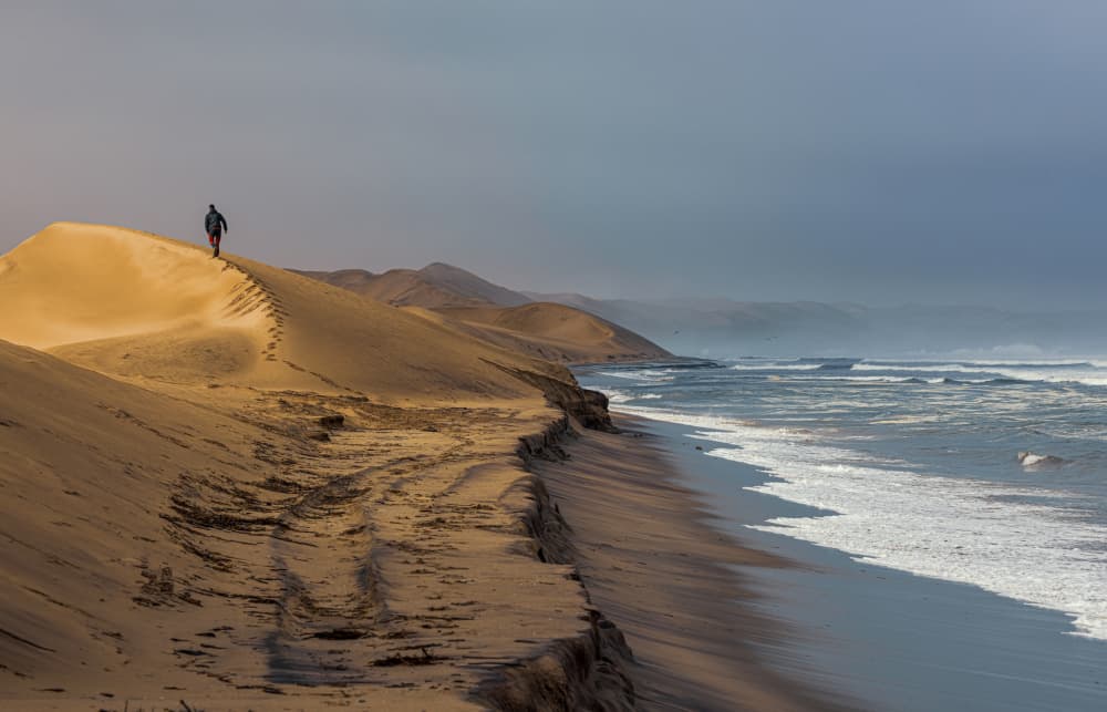 Coastal Dune Solitude by Marco Tagliarino — canvas wall art