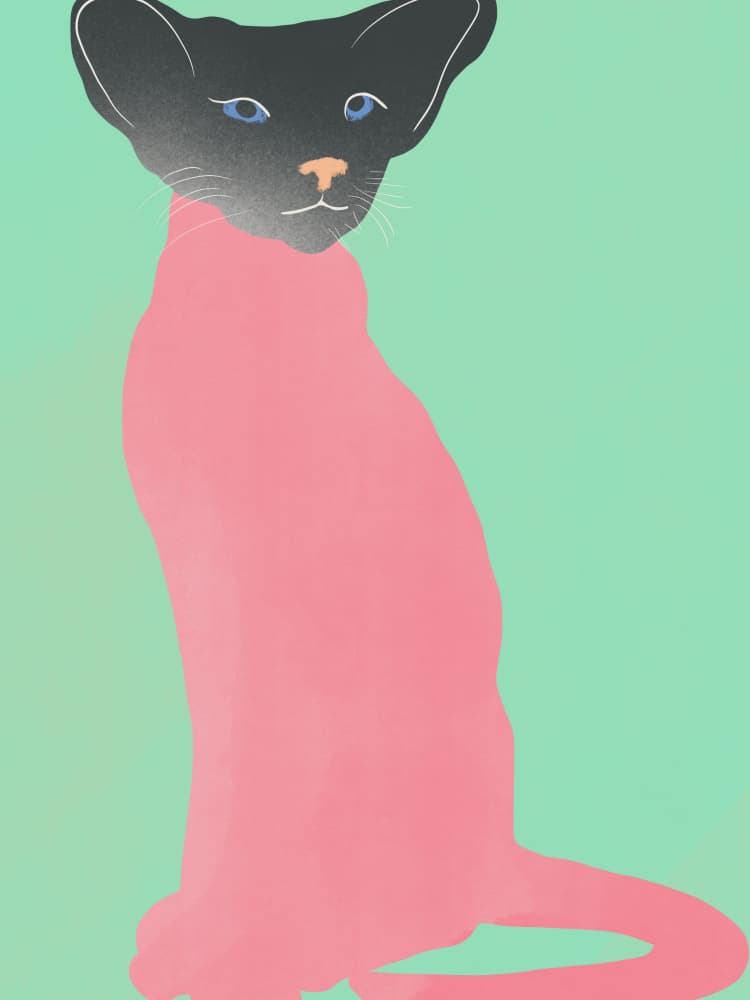 Elegant Pink Cat by Little Dean — canvas wall art