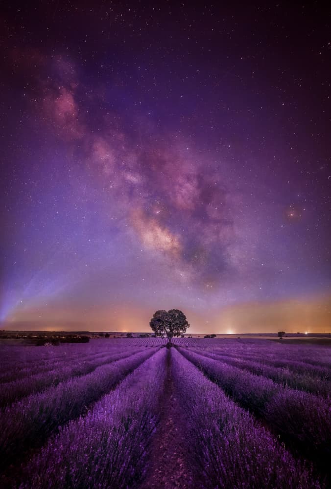Lavender Field Milky Way by Juan Luis Seco — canvas wall art