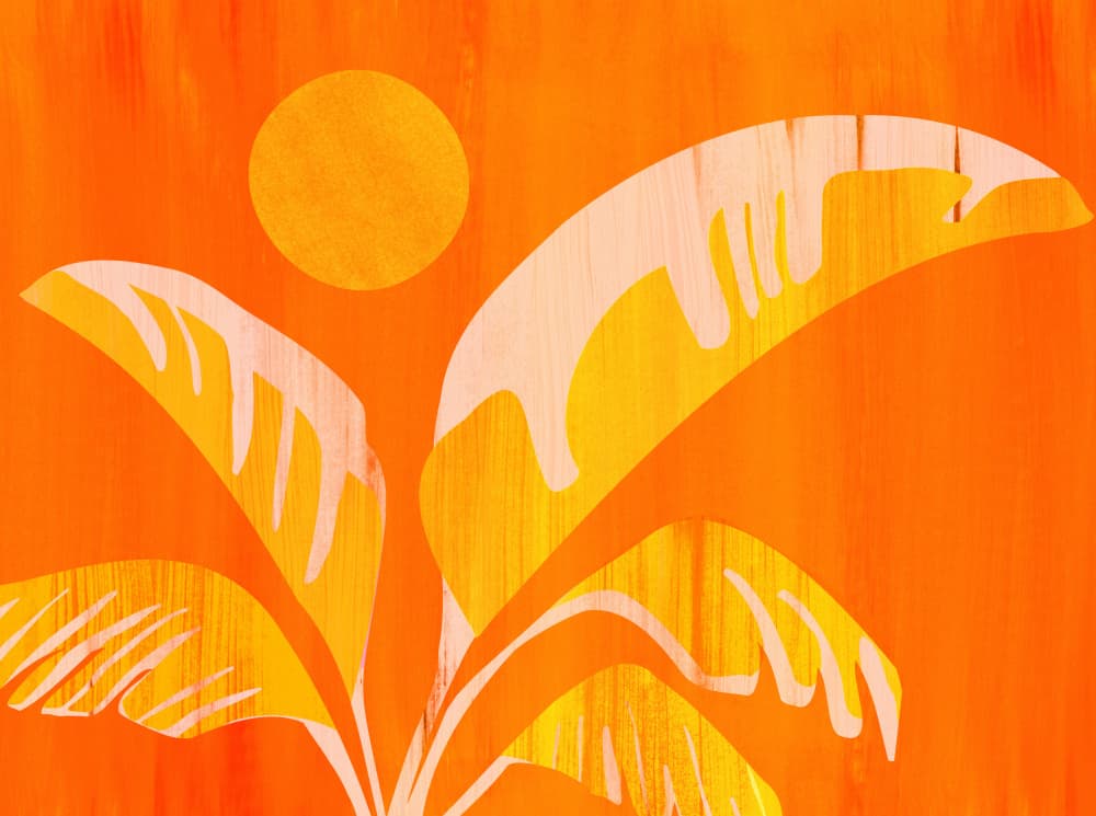August Afternoon by Kristian Gallagher — canvas wall art